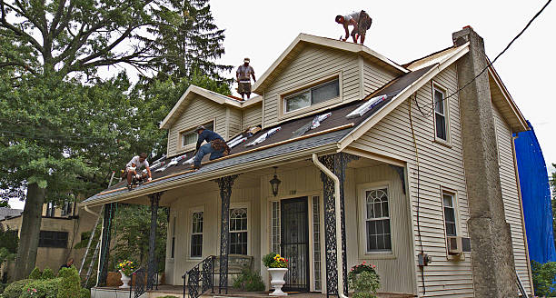 Best Storm Damage Roof Repair  in Des Peres, MO